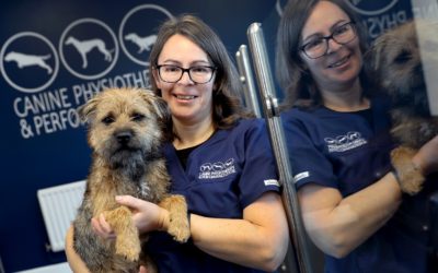 Physio centre dedicated to dogs opens at the BIC
